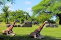 Giraffes Resting Royalty Free Stock Photo
