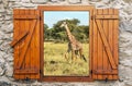 Giraffes in the savanah Royalty Free Stock Photo