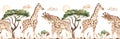 Watercolor seamless border with giraffes in savannah with clouds, acacia, tropical leaves Royalty Free Stock Photo