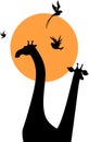 Giraffes silhouette