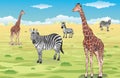 Giraffes and Zebras