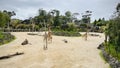 Giraffes and zebras herd live in Auckland Zoo. Royalty Free Stock Photo