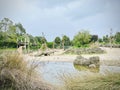 Giraffes and zebras herd live in Pridelands with watering hole, Auckland Zoo. Royalty Free Stock Photo