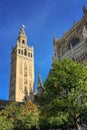 The Giralda, Bell tower of the cathedral of Seville, Andalusia Spain Royalty Free Stock Photo