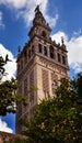 Giralda Bell Tower Seville Cathedral Spain Royalty Free Stock Photo