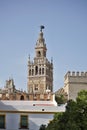 Giralda, famous bell tower of the Seville Cathedral in Spanish city of Sevilla, built as a minaret