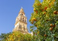 Giralda and orange tree courtyard, It`s the name given to the bell tower of the Cathedral of Santa Maria de la Sede of the city o