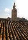 The Giralda seen from a roof