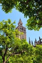 The Giralda Tower at the Cathedral of Seville, Andalusia, Spain