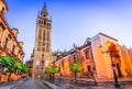 Giralda tower in Seville, Andalusia, Spain Royalty Free Stock Photo