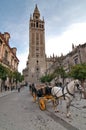 Giralda tower in Sevilla, Spain