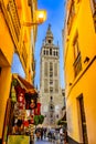 Giralda tower,Seville, Andalusia, Spain