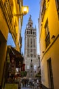 Giralda tower,Seville, Andalusia, Spain