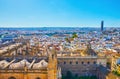 The view fn the Gothic roof of Cathedral and old town, Seville, Spain