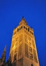 The Giralda Tower at sunset, Cathedral of Seville, Andalusia, Spain Royalty Free Stock Photo