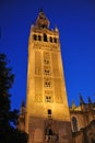 The Giralda Tower at sunset, Cathedral of Seville, Andalusia, Spain Royalty Free Stock Photo