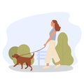 A girl alone walking dog outdoor in green park. Banner for dog walker company. Pet sitting. Labrador retriever outside Royalty Free Stock Photo