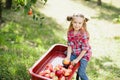 Girl with Apple in the Apple Orchard