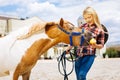 Caring cowboy girl giving little apple her cute brown pony Royalty Free Stock Photo