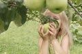 Girl with Apple in the Apple Orchard. Beautiful Girl Eating Organic Apple in the Orchard. Harvest Concept. Garden, Toddler eating. Royalty Free Stock Photo