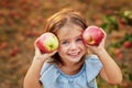 Girl in Apple Orchard. Beautiful Girl Eating Organic Apple in Orchard. Harvest Concept. Garden, Toddler eating fruits at fall Royalty Free Stock Photo