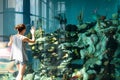 Girl Aquarium Exploration