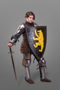 Girl in armor with a sword knight wuth shield over grey background
