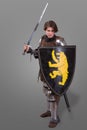 Girl in armor with a sword knight wuth shield over grey background Royalty Free Stock Photo