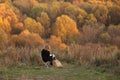 Girl artist sits and writes from nature the nature of the autumn