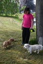 Girl with two little dogs as a dog sitter