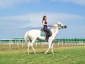 Girl astride a horse on a hippodrome