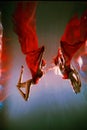 girl with an athletic figure and blond hair, with red material and light underwear, in a ballet pose underwater Royalty Free Stock Photo