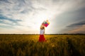 Girl with balloons in wheat field Royalty Free Stock Photo