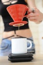 Girl barista brews coffee in red v60 pourover. Dripping water from funnel in hand into white cup on electronic scale Royalty Free Stock Photo