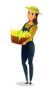 Girl with basket of corn cobs. Farmer woman standing. Harvest agricultural plant. Food product. Farmer farm illustration Royalty Free Stock Photo