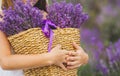 Girl with a basket of flowers lilac lavender Royalty Free Stock Photo
