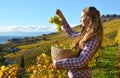 Girl with a basket full of grapes Royalty Free Stock Photo