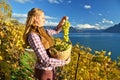 Girl with a basket full of grapes Royalty Free Stock Photo