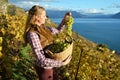 Girl with a basket full of grapes Royalty Free Stock Photo