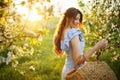 Girl with a basket in her hands stands at sunset in a flowering garden