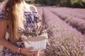 Girl with a basket of lavender flowers in a blooming lavender field, Provence, France Royalty Free Stock Photo
