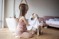 girl in the bathroom wipes her dog with a towel, a woman dries a golden retriever after bathing Royalty Free Stock Photo