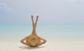 The girl on the beach Royalty Free Stock Photo