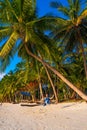 The girl on the beach rides on a swing during sunset. Sunset in the tropics, enjoying nature. Swing tied to a palm tree by the Royalty Free Stock Photo