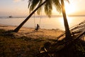 The girl on the beach rides on a swing during sunset. Sunset in the tropics, enjoying nature. Swing tied to a palm tree by the Royalty Free Stock Photo