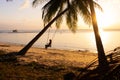 The girl on the beach rides on a swing during sunset. Sunset in the tropics, enjoying nature. Swing tied to a palm tree by the Royalty Free Stock Photo