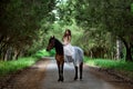 Girl in a beautiful dress sits on horseback Royalty Free Stock Photo