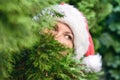 Girl with beautiful eyes in a santa claus hat hiding behind a christmas tree. Concept. Royalty Free Stock Photo