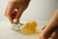 A girl with beautiful hands puts on the table a glass plate with honey in combs and flowers