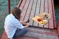 The girl beautifully served food on a pier and learns to photograph food. Photography training